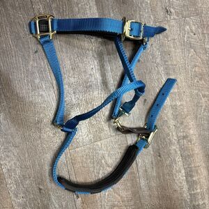 Shires ARMA Breakaway Halter with Leather Crown Turnout Safety Aqua NWOT